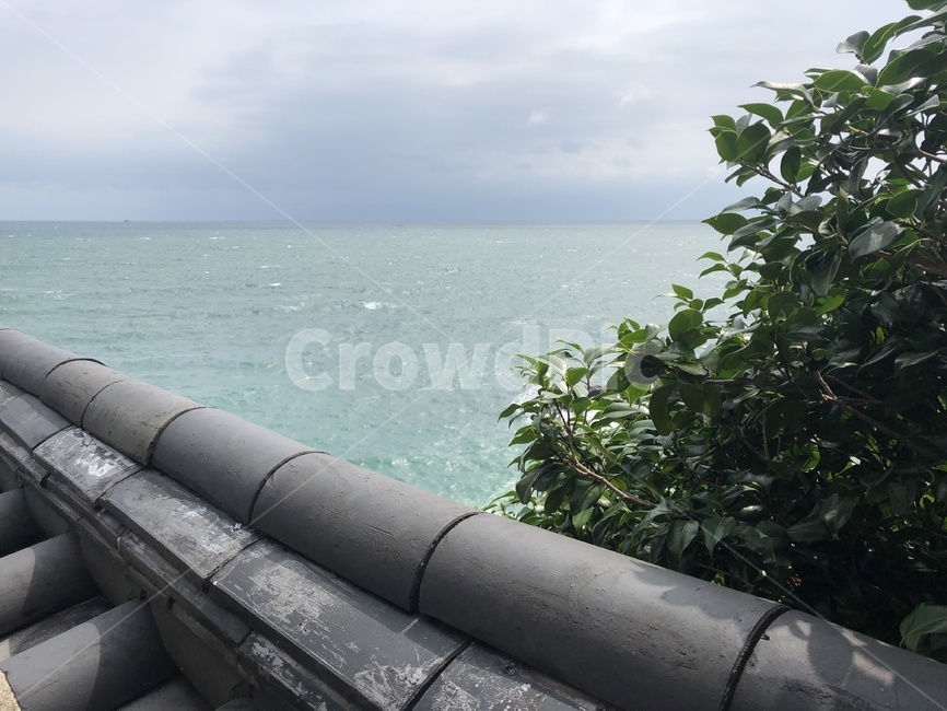 바다,자연,기와,절,암반,풍경,scenery,scene,sea,nature,rooftile,temple,부산,한국,busan,korea,절경