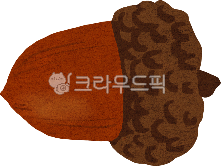 가을,도토리,곡물,너트,도토리일러스트,도토리도안,씨앗,열매,자연,식물,가을일러스트,가을그림,가을음식,열매일러스트,일러스트,계절,시즌,가을열매,autumn,fall,acorn,seed