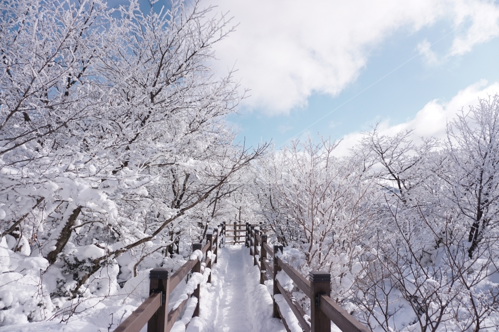 설경,눈,겨울,산,상고대,겨울,계절,winter,season,자연,풍경,nature,landscape,banister,난간,handrail,railing