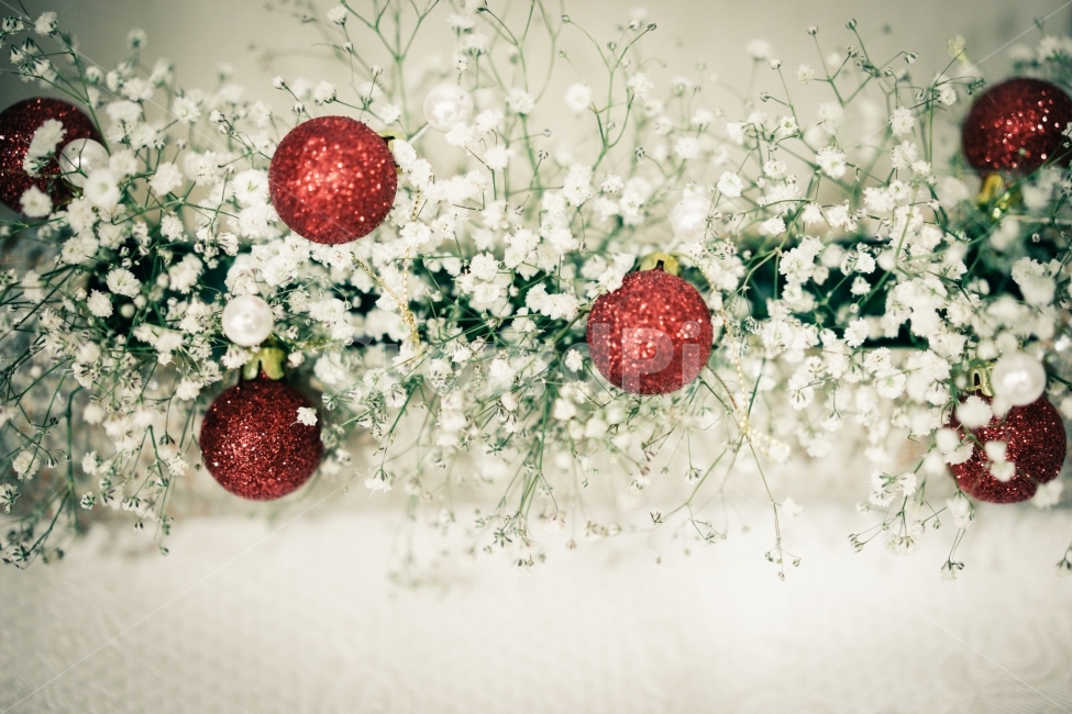 크리스마스,크리스마스트리,꽃꽂이,안개꽃,12월,겨울,계절,winter,season,기념일,축하,anniversary,congratulation,celebrate,celebration,메리크리스마스,성탄절,merry christmas,감성,sensible,feeling,사물,물건,오브젝트,thing,object,matter