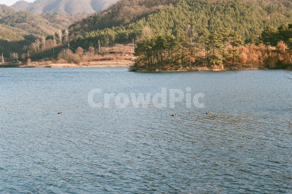 호수,겨울,자연,쓸쓸한,외로운,자연,풍경,nature,landscape,water,물,outdoors,옥외