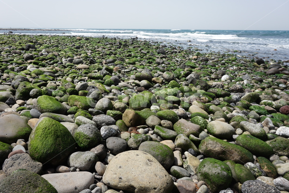 자갈,이끼,돌,바다,파도,자연,질감,배경,조약돌,바닷가,몽돌,둥근,stone,풍경,해안,해변,수평선,돌멩이,nature,배경화면,여름,조각,해변,바다,beach,sea
