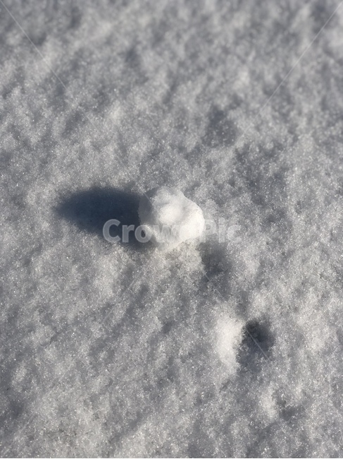 눈,눈덩이,눈싸움,하얀,하얀색,흰색,흰,순백,깔끔,순수,겨울,계절,winter,season