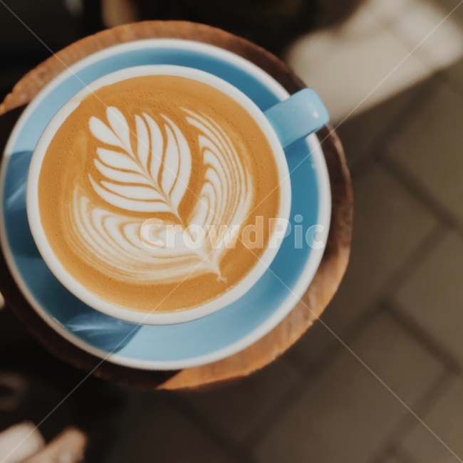 튤립,라떼아트,라떼,아트,커피,커피,카페,coffee,cafe,감성,sensible,feeling