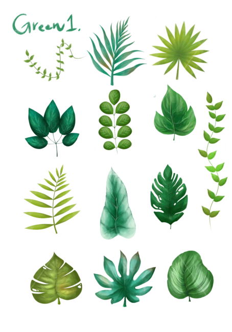 일러스트,풀,잎,plant,식물,green,녹색,vegetation,초목