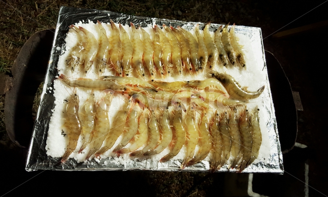 새우,새우구이,소금,구이,음식,food