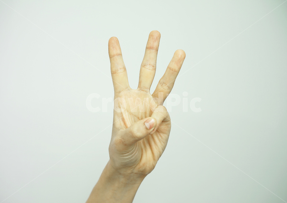 손,손가락,손동작,손모양,손제스쳐,hand,handmotion,finger,gesture,사람,인물,인간,human,person,신체일부,몸,body,손,제스처,표시,손짓,표현,gesture,hand,sign,expression