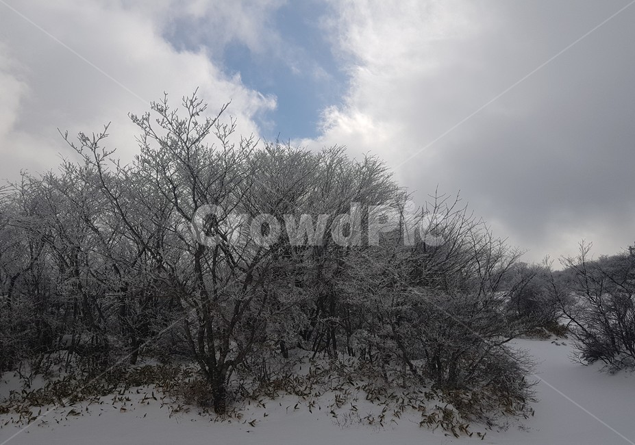 겨울,눈,겨울산,winter,계절,snow