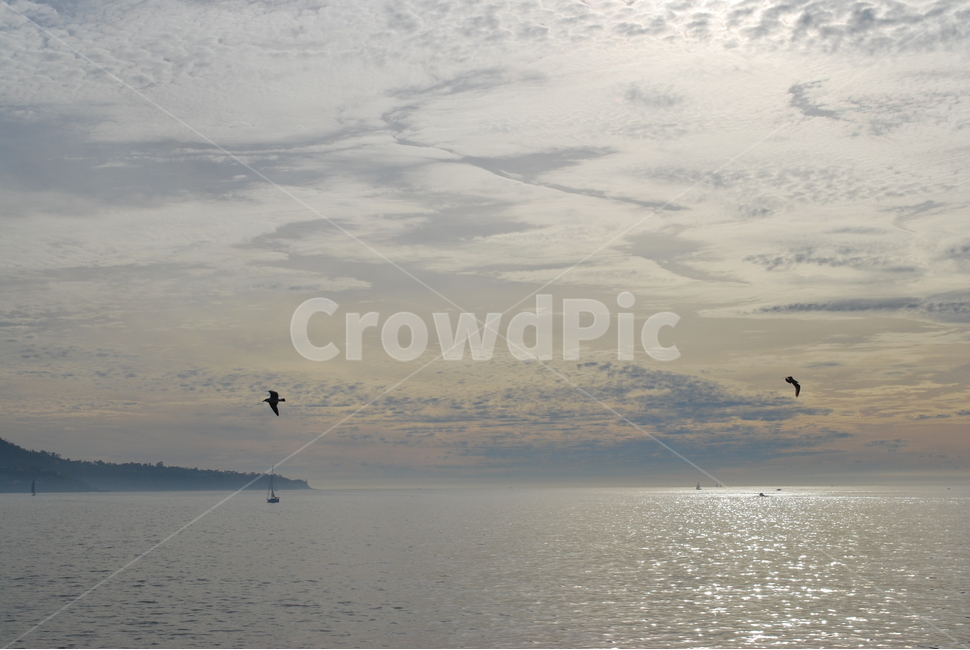 윤슬,하늘,구름,저녁,저녁노을,선셋,sunset,nature,water,wave,파도,바다,ocean,오션뷰,새,birds,clouds,flyingbirds,노을,배경,background,캘리포니아,미국,자연,풍경,nature,landscape