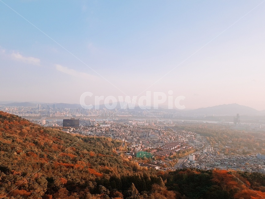 낙엽,산,도시,가을,하늘,가을,계절,fall,autumn,season,도시,풍경,city,landscape,한국도시풍경,한국도시경관,korea cityscape,nature,자연,outdoors,옥외,경치,scenery,aerial view,조감도