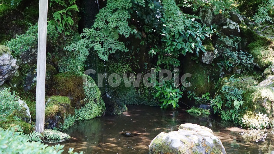 은각사,자연,연못,일본,silverpavilion,nature,pond,kyoto,교토,natural,평화로운,바위,peace,자연,풍경,nature,landscape,outdoors,옥외,water,물,vegetation,초목,plant,식물,land,땅,rainforest,열대 우림,tree,나무