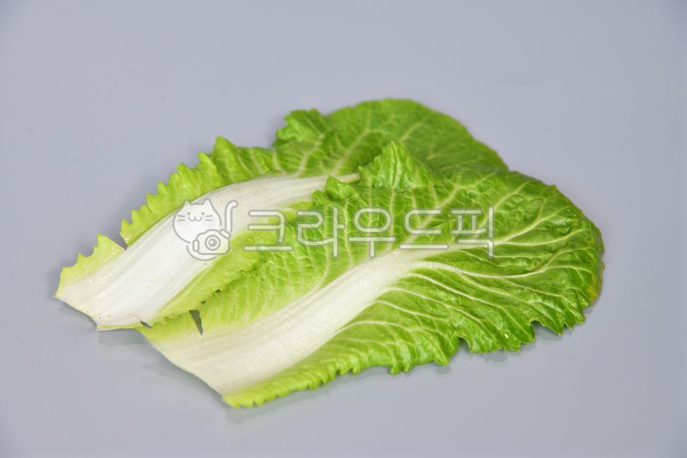 Spring onion,spring cabbage,cabbage,cabbage,cabbage,winter cabbage,vegetable