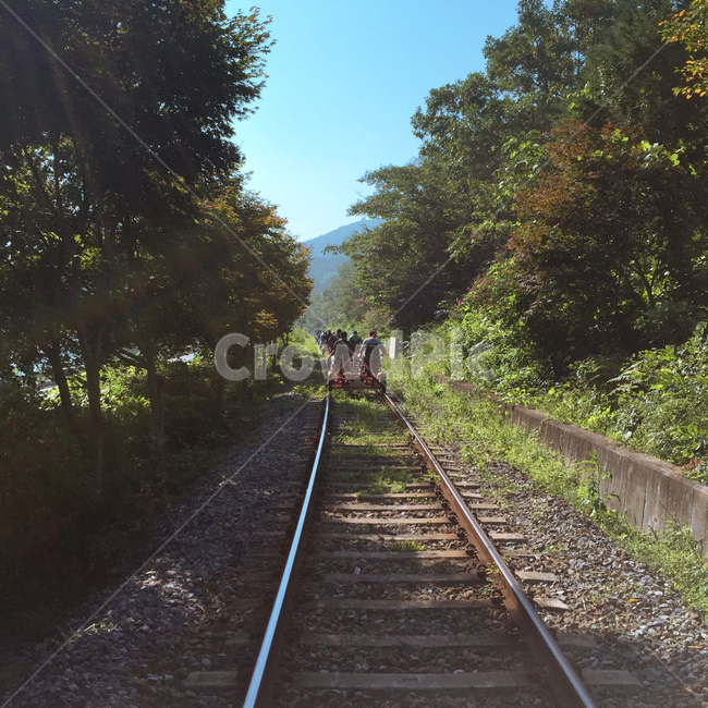 철길,철도,레일바이크,레일,가족,인력바이크,바이크,나무,나무사이철도,railroad,railway,family,railbike,tree