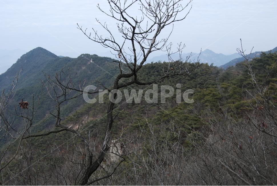 동악산,형제봉,배넘어재,곡성군,등산로,능선,치유,여행,돌,산행,힐링,자연,동행,등산,계절,한국,한국명산,한국등산,풍경,나무,하늘,겨울,계절,winter,season,자연,풍경,nature,landscape,한국자연풍경,한국자연경관,korea nature landscape,식물,plants,나무,trees,wood,outdoors,옥외
