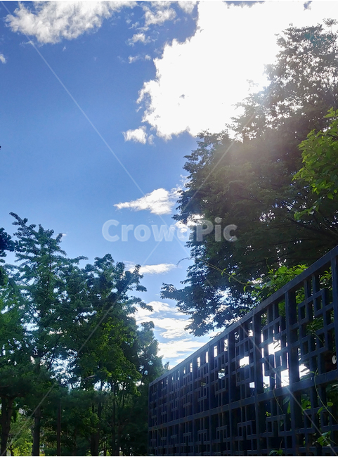 여름,여름하늘,청량한,청명한,푸른,sky,summer,공원,낮,하늘,자연,풍경,nature,landscape,flare,플레어,light,빛,railing,난간