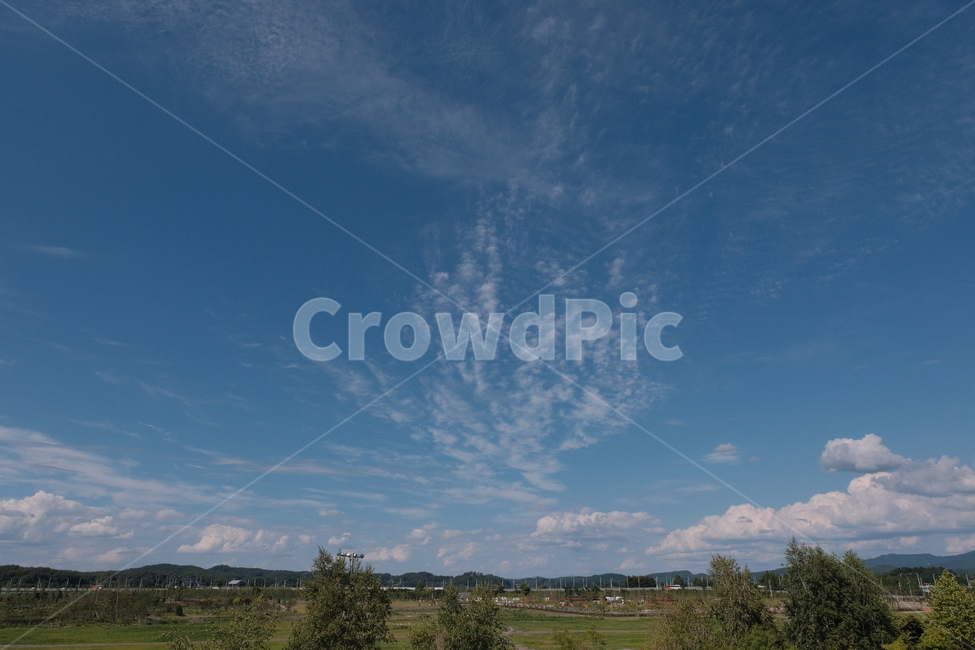 하늘,구름,언덕,나무,경치,맑은,파란,sky,clouds,hill,field,tree,landscape,freshness,blue