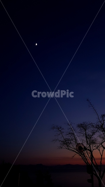 달,노을,저녁하늘,나무,자연,야경,밤,풍경,nightscape,night,landscape,nature,outdoors,옥외