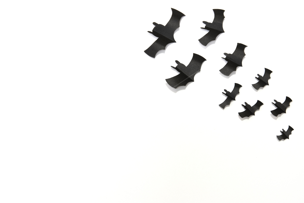할로윈,박쥐,배경,백그라운드,검정,블랙,컨셉,콘셉,종이,종이박쥐,동물,색종이,halloween,bat,background,종이아트,아트,art,black,concept,paper,animal,colorpaper,축제,행사,festival,carnival,event