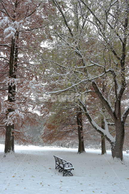 눈,벤치,공원,풍경,휴식,힐링,겨울,눈내리는날,고요,bench,winter,snow,park