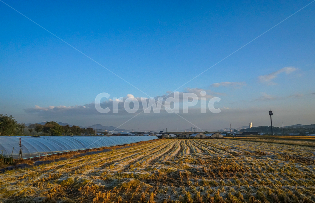 토지,농토,농사,밭,농업,안개,산업,industry,industrial,농업,농사,agriculture,farming,farming industry