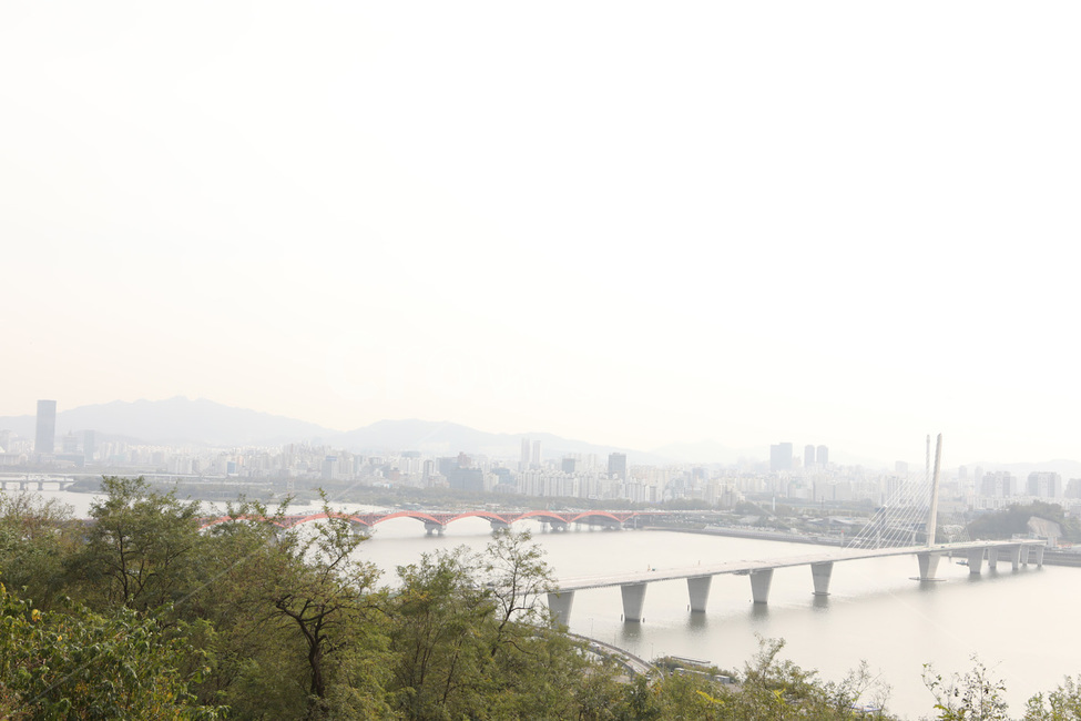 경치,나무,숲,다리,강,하늘