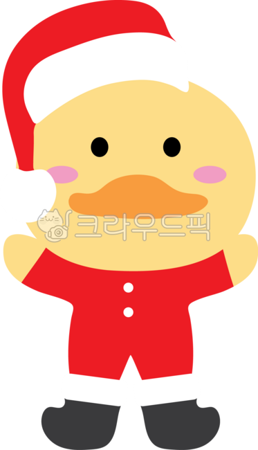 Christmas,Christmas Day,Animals,Christmas Animals,December 25,Duck,Duck Santa,Santa Clothes,Santa Costume