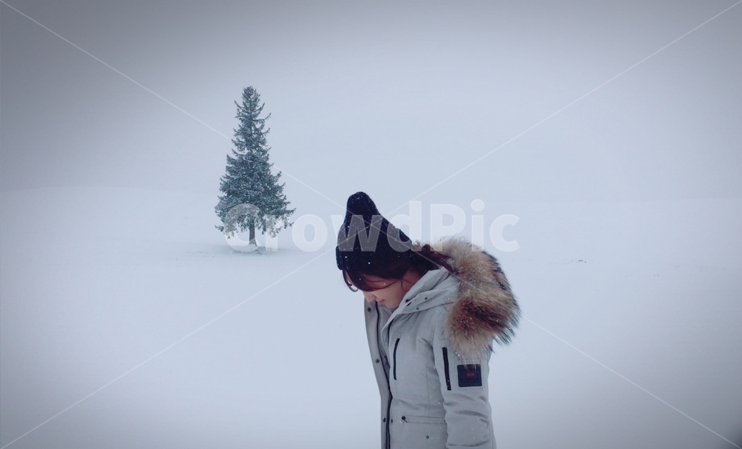 tree,나무,크리스마스나무,크리스마스트리,비에이,겨울감성,눈,겨울,계절,winter,season,사람,인물,인간,human,person,여성,여자,woman,female,lady