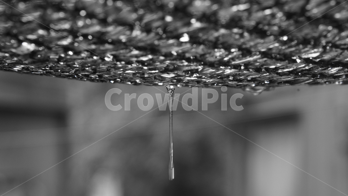 비,빗물,흐림,비내림,우중충,차광막,비,비오는날,rain,rainy,흑백,모노톤,monochrome,black and white