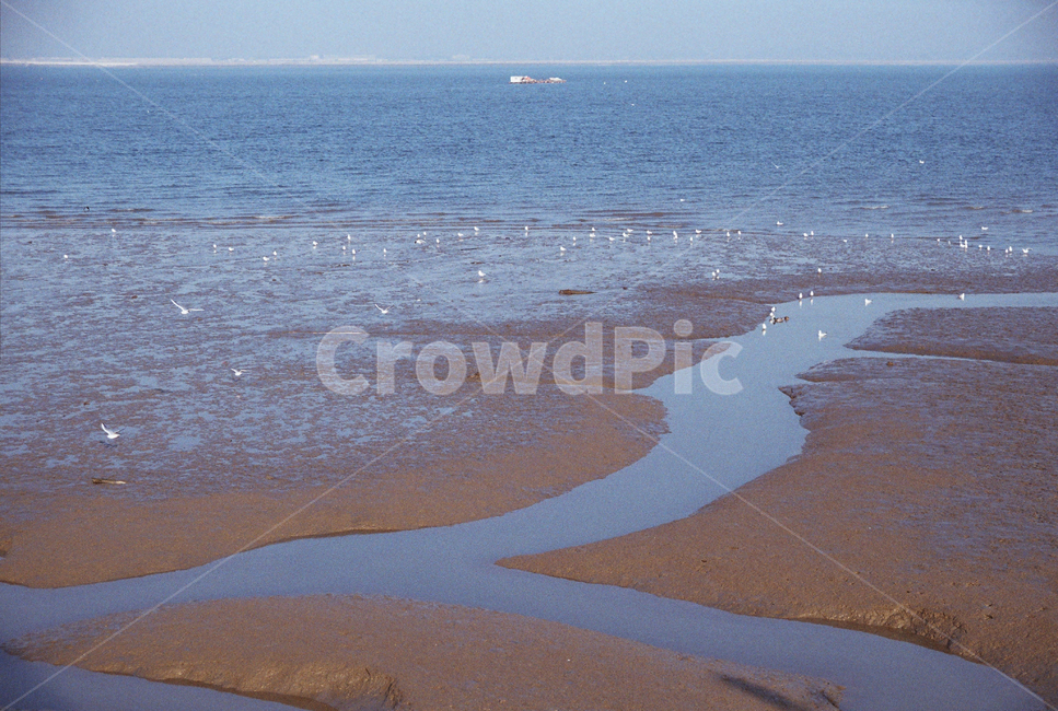 바다,갯벌,바닷길,서해,바닷가,해안가,beach,ocean,물길,자연,물,water,자연,풍경,nature,landscape