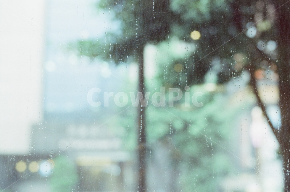 카페,통유리,통유리카페,감성,감성사진,비,비오는날,감성,sensible,feeling,비,비오는날,rain,rainy