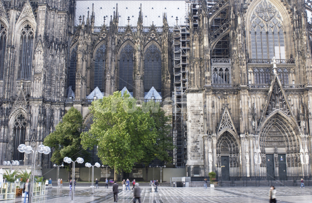 독일,köln,쾰른,쾰른대성당,colognecathedral,해외,building,건물,architecture,건축물,cathedral,성당