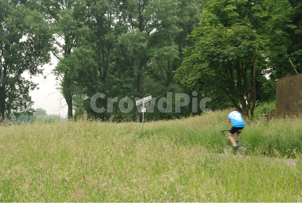 field,들,grassland,목초지,옥외,human,자전거,라이딩