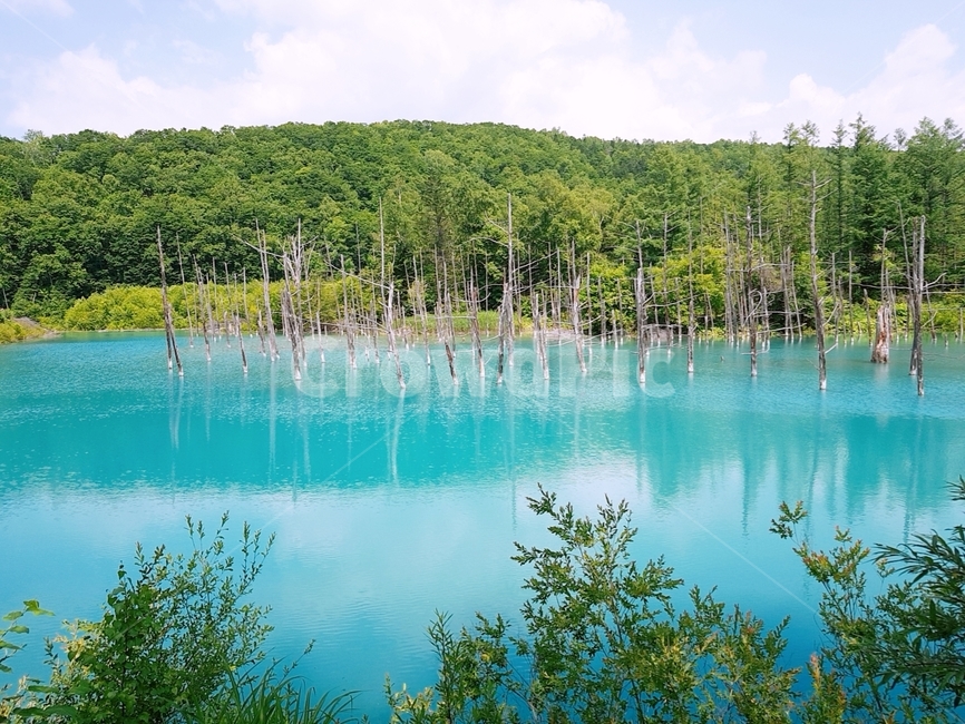 water,물,nature,자연,호수,강,나무,풍경,자연,풍경,nature,landscape
