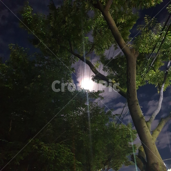 달,밤하늘,어스름,한밤중,밤,하늘,풍경
