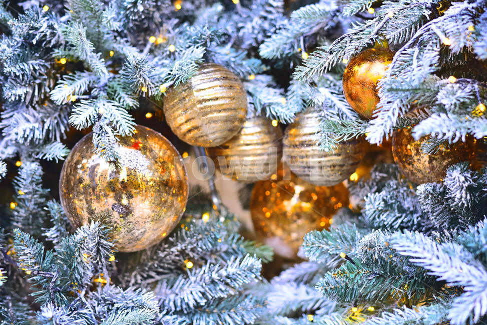 atmosphere,Christmas,golden yellow,christmas tree,Christmas ball,decorations,Christmas mood,gold,ball,Christmas background,golden,season,decoration,Yearend decoration,xmas,christmasball,Churi,tree,christmas,christmas ball,background,plant,silver,Same colo