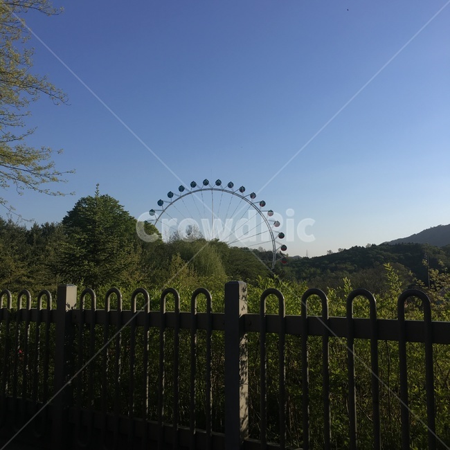 놀이공원,대관람차,하늘,맑은날씨,난간,나무,숲