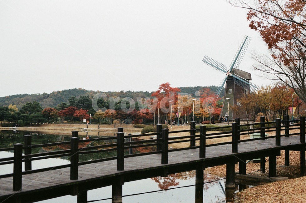 풍경,가을,울산대공원,필름카메라,필름,필름사진,landscape,autumn,fall,필카,film,view,filmcamera,가을,계절,fall,autumn,season,자연,풍경,nature,landscape,machine,기계