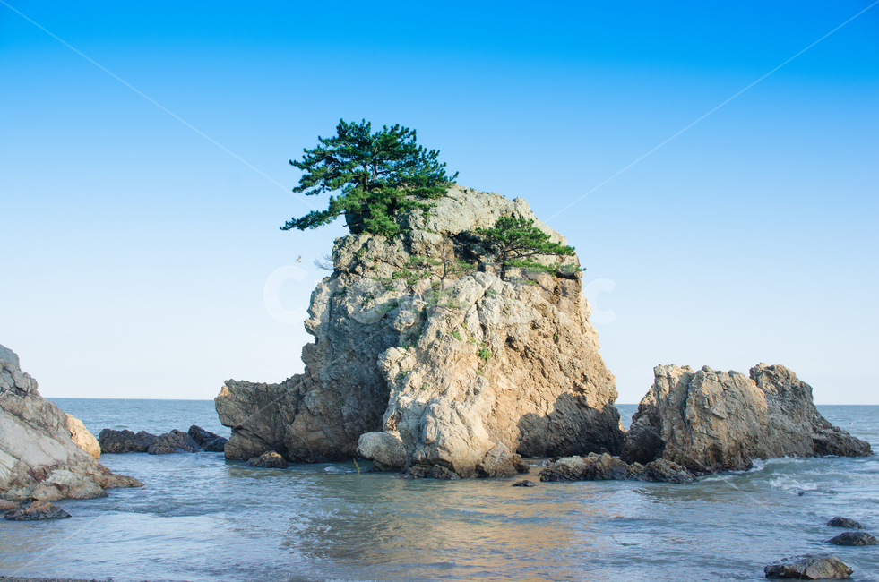 바다,바위,섬,바위섬,갈매기,파도,수평선,구룡포,소나무,해송,하늘,자연,풍경,nature,landscape,한국자연풍경,한국자연경관,korea nature landscape,land,땅,outdoors,옥외,shoreline,해안선,water,물,sea,ocean,대양,promontory,곶