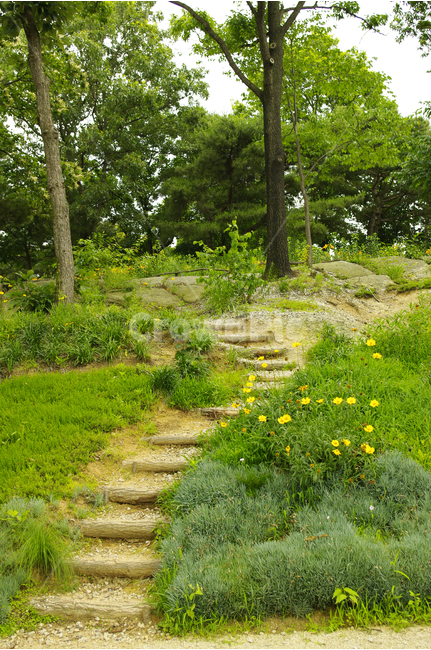 나무,식물원,식물,flower,color,nature,자연,산책,힐링,길,자연,풍경,nature,landscape,outdoors,옥외,grassland,목초지,field,들,rural,농촌,farm,농장