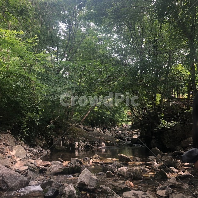 자연,계곡,나무,산,nature