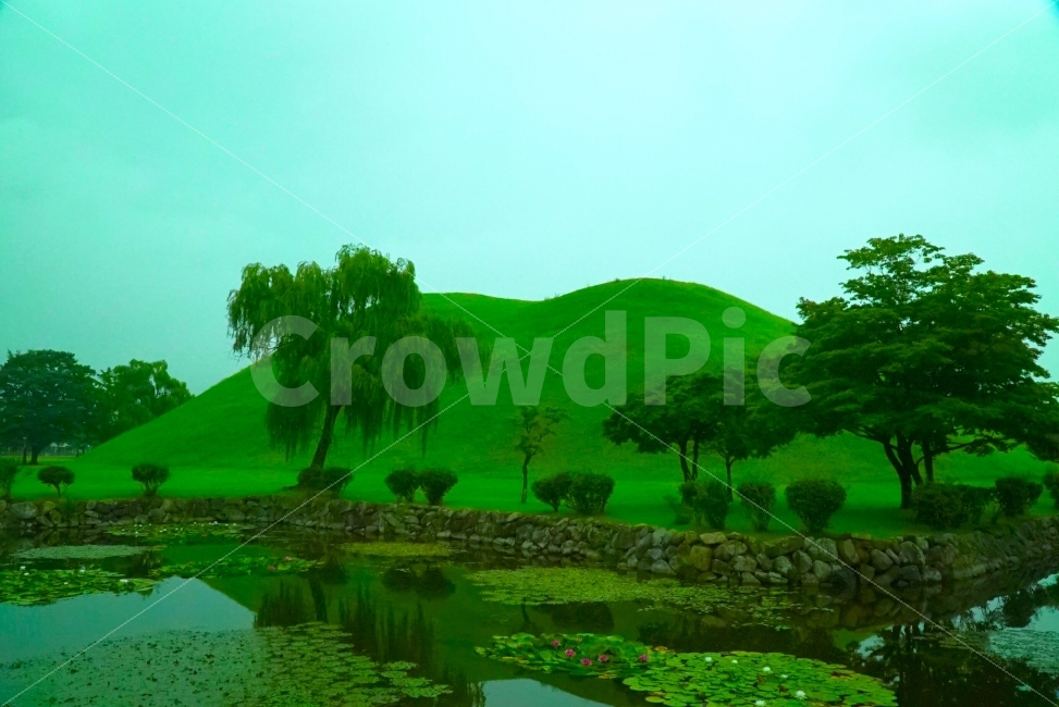경주,대릉원,능,무덤,풍경,언덕,녹음,자연,풍경,nature,landscape,랜드마크,landmark,tourist attraction,한국전통,한국문화,korean traditional,korean culture,outdoors,옥외,water,물,grassland,목초지,field,들