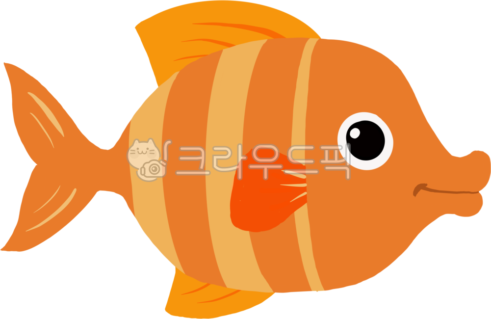 동물,해양생물,물고기,바다동물,생물,열대어,어류,오렌지색,animal,sealife,fish,tropicalfish,seaanimal,orangefish