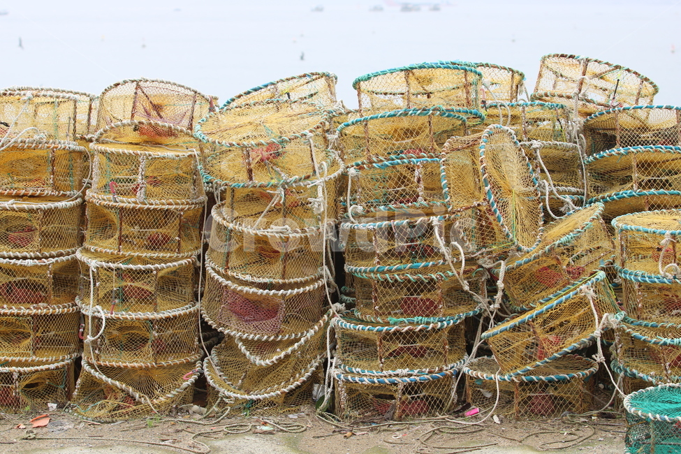 그물,어망,바다,어촌,물고기,낚시,산업,industry,industrial,어업,fishery,fishing industry