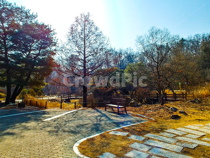 벤치,의자,기다림,보도블럭,산책길,공원,산책로,가을,낙엽,갈색낙엽,그림자,바닥,나뭇가지,나무줄기,나무,숲,호수,연못,붉은낙엽,빨간낙엽,목책,울타리,다리,목조다리,침엽수,활엽수,식물,컴퓨터배경사진,배경사진,배경,풍경사진,백그라운드,배경이미지,풍경이미지