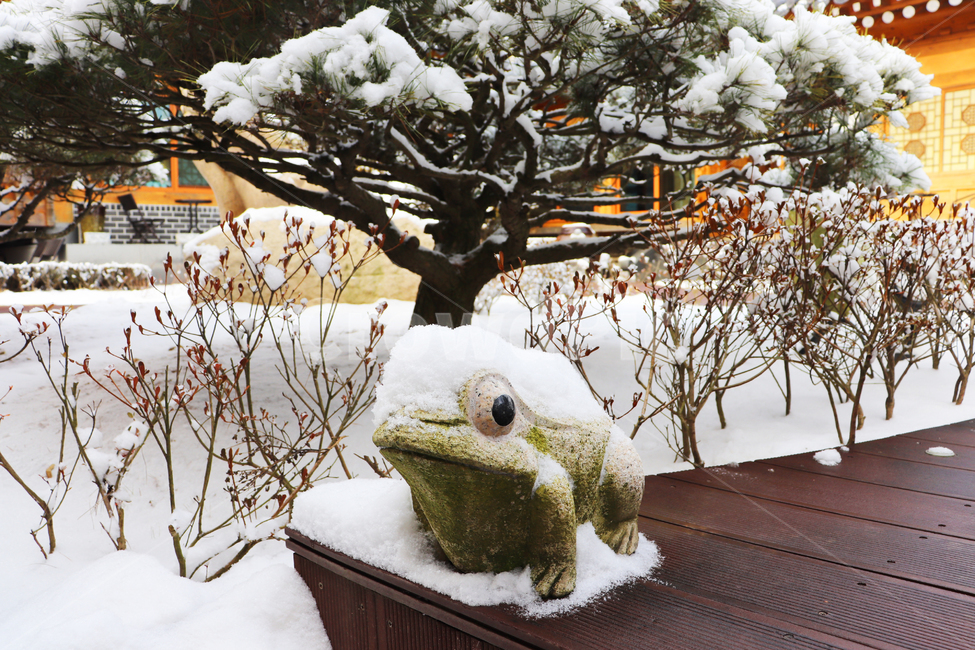 설경,눈밭,겨울한옥,한국전통,자연,snow,nature,겨울,한국겨울,기와,겨울기와,한옥,전통한옥,두꺼비,조형물,복두꺼비,겨울,계절,winter,season
