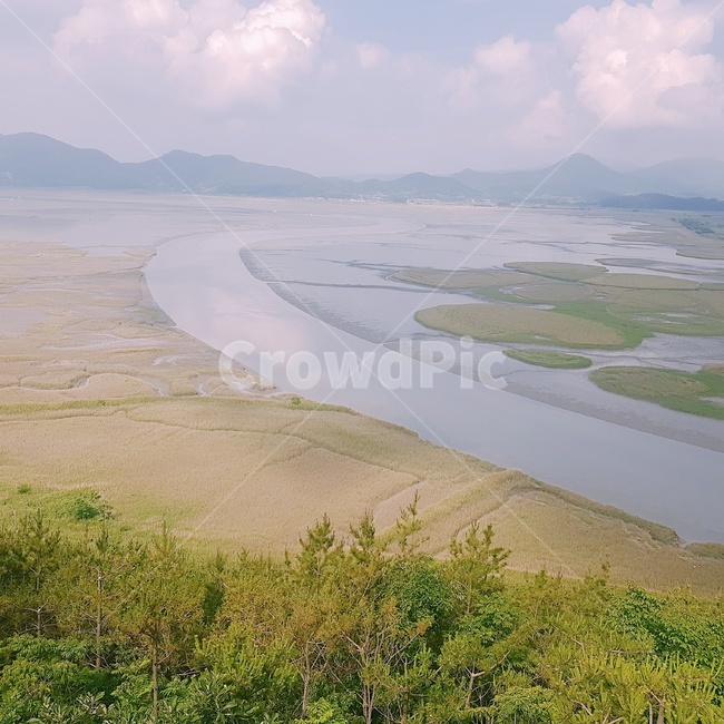 전라남도,순천,순천만,순천만습지,습지,세계5대연안습지,람사르습지,s곡류,suncheonbay,순천만생태습지,하늘,구름,파란하늘,여름,여름하늘,용산전망대,칠면초