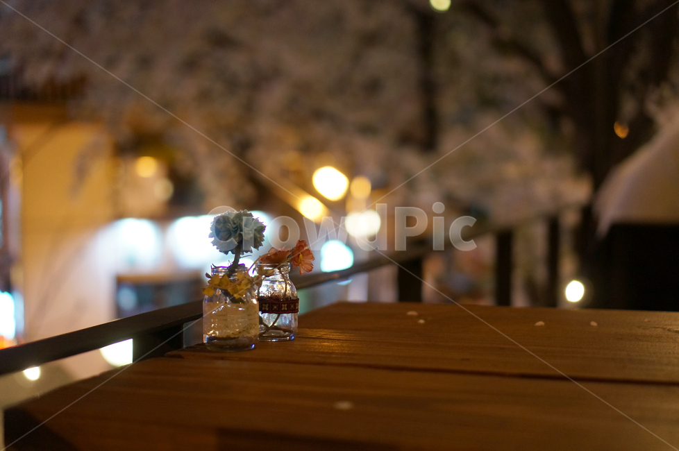 카페,조명,감성,꽃,인테리어,테라스,야경,밤,풍경,nightscape,night,landscape,실내용화초,화분,화초,house plant,wood,나무,hardwood,견목