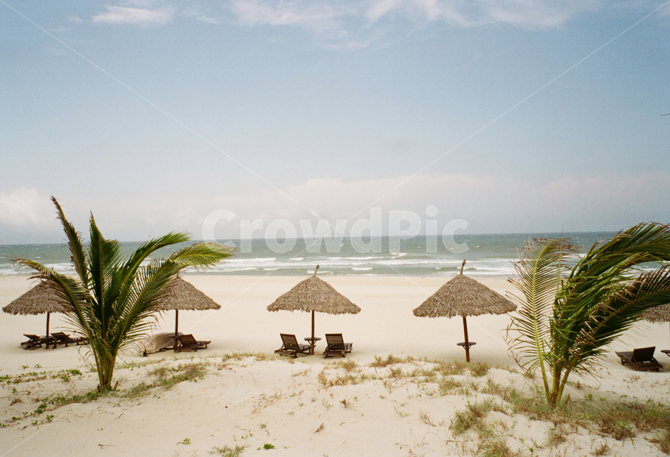 vietnam,베트남,바다,해변,sea,beach,summer,여름,tree,나무,plant,식물,해변,바다,beach,sea