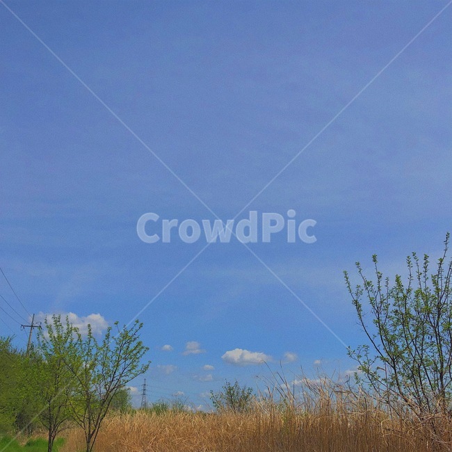 하늘,구름,나무,풍경,sky