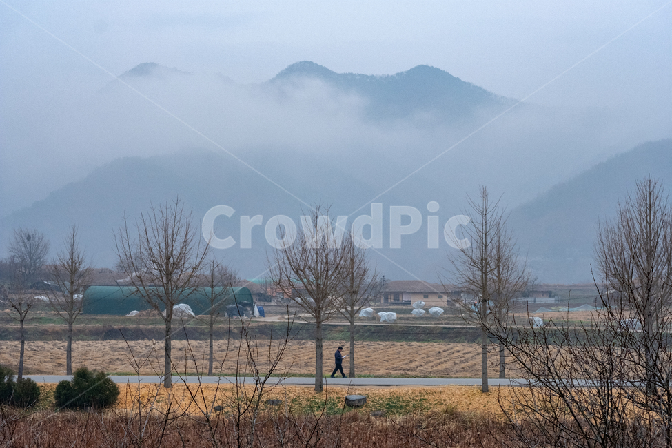 사람,nature,자연,안개,안동,자연,풍경,nature,landscape